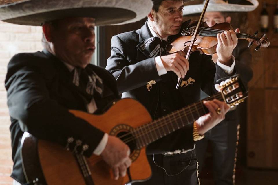 Trío Mariachis