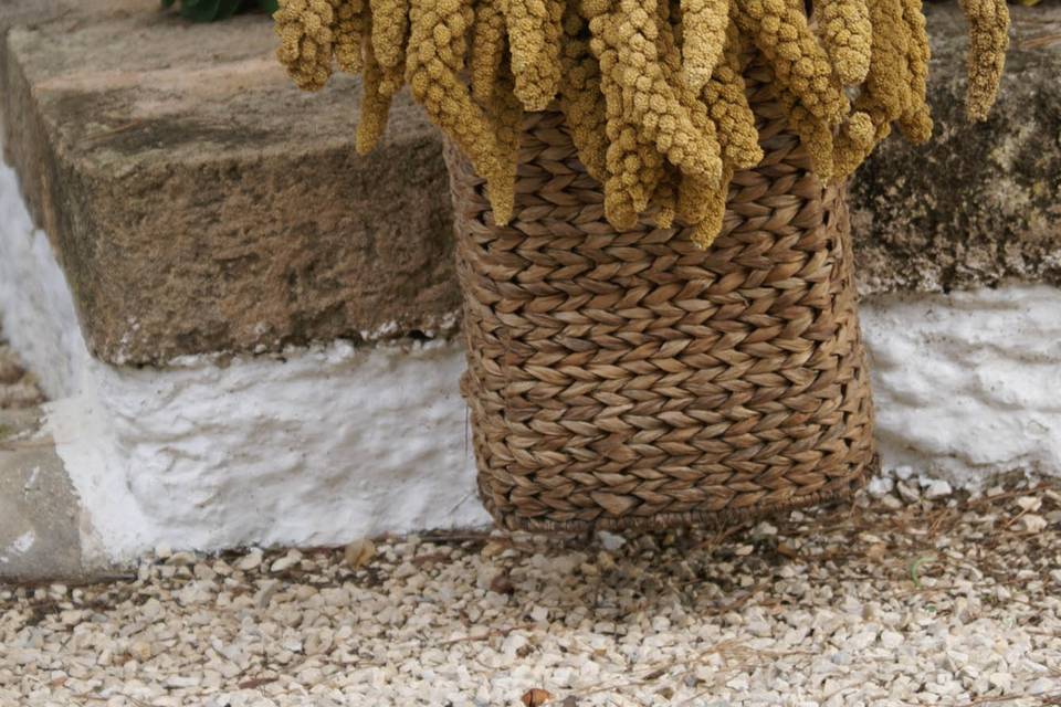 Detalle de flores