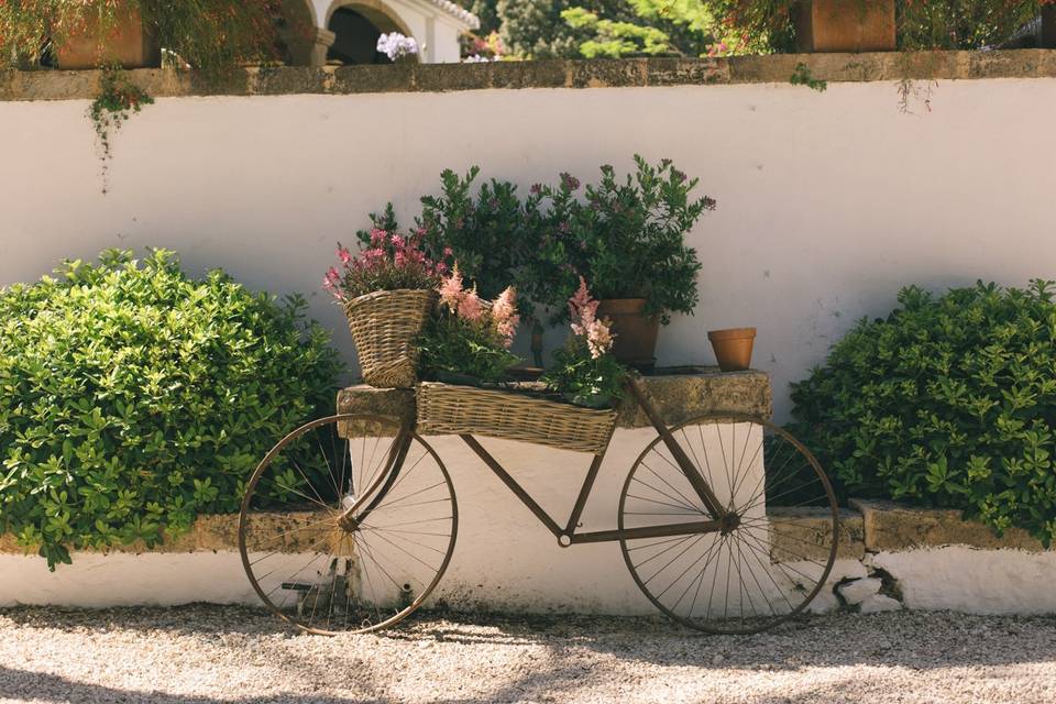 Finca La Mezquida