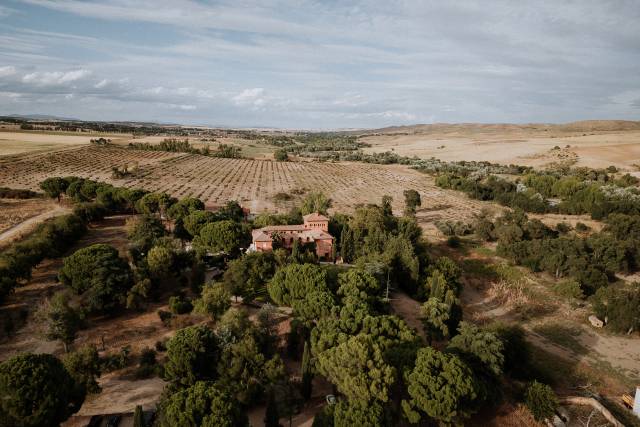 Espino de Torote