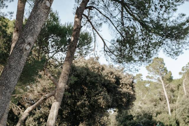 Fotográfa de bodas en Girona