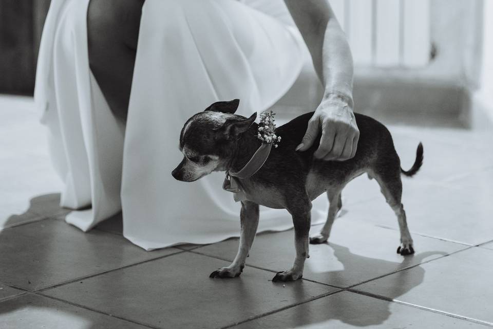 Fotográfa de bodas en Girona