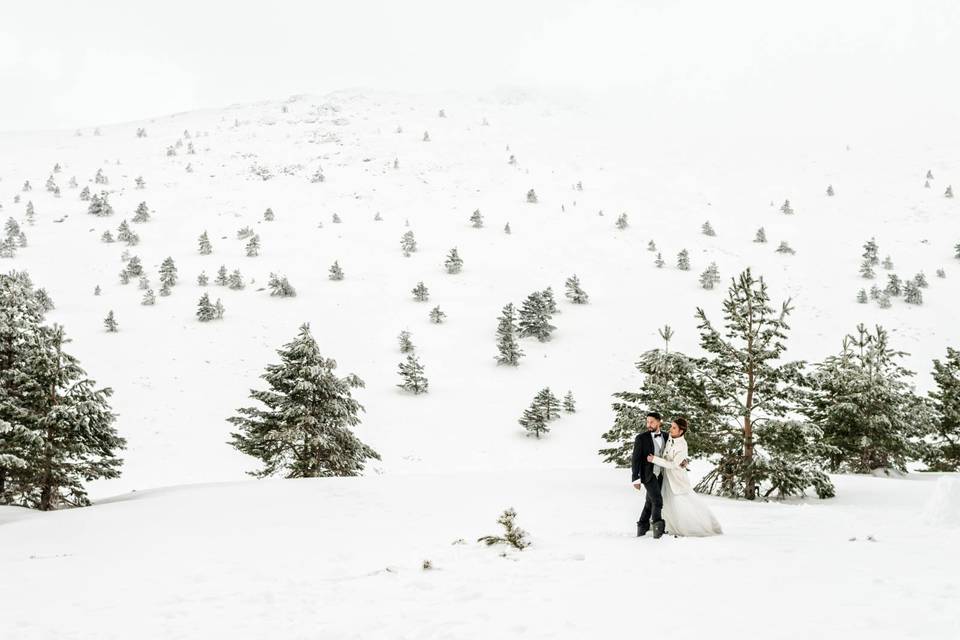 Postboda