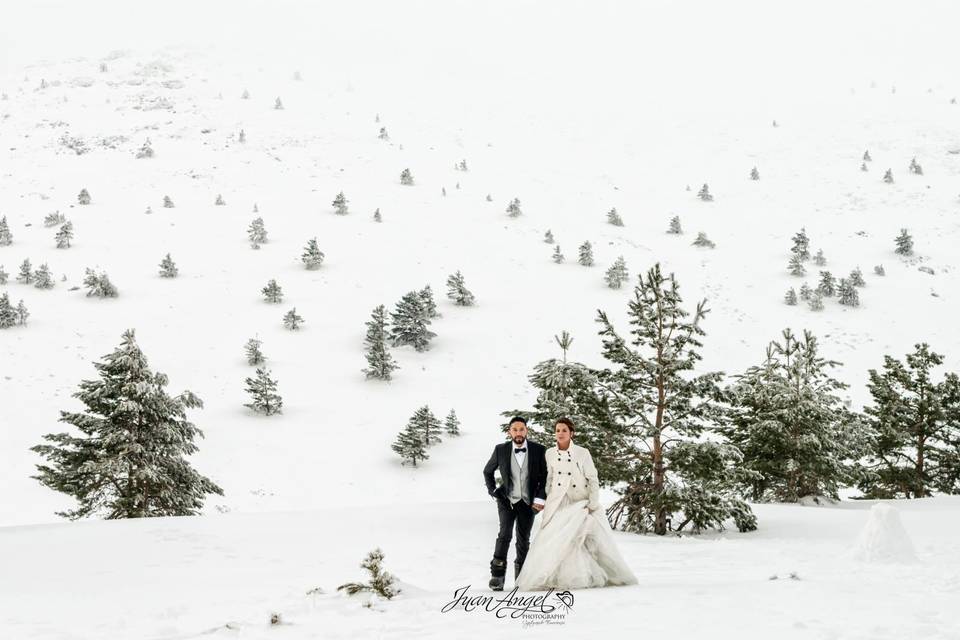 Postboda