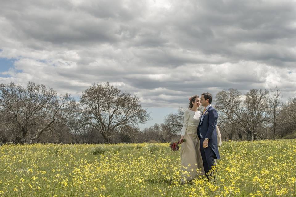 Sesión de novios