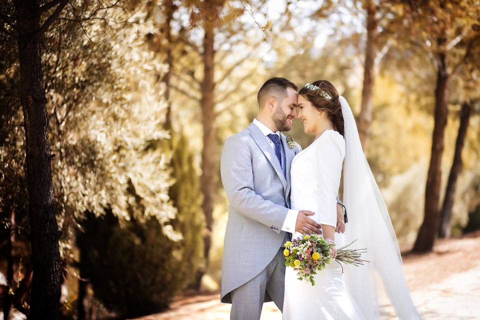 Postboda Campo