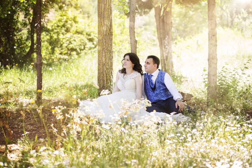 Postboda Primavera