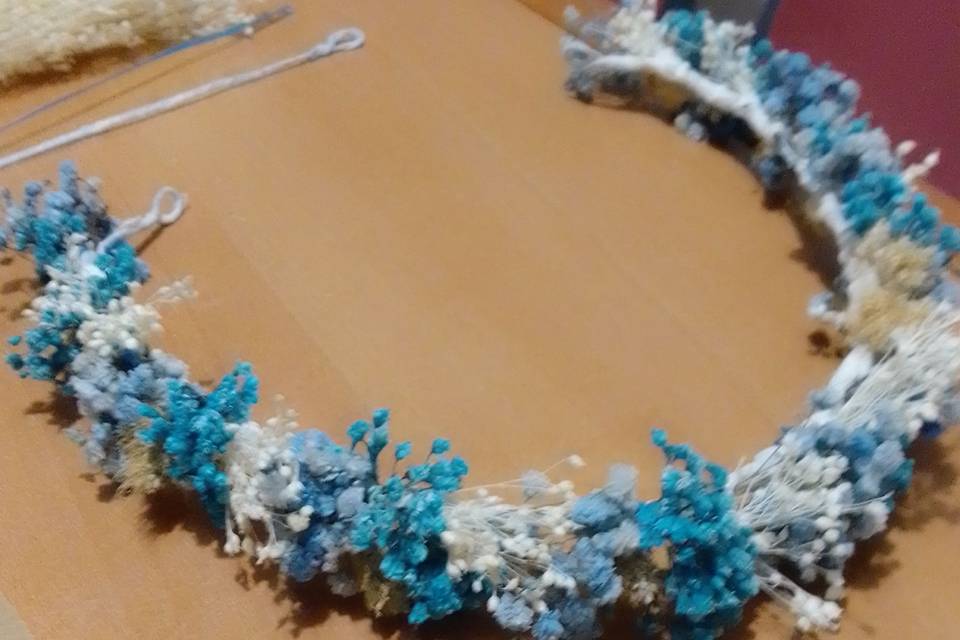 Diademas preservada