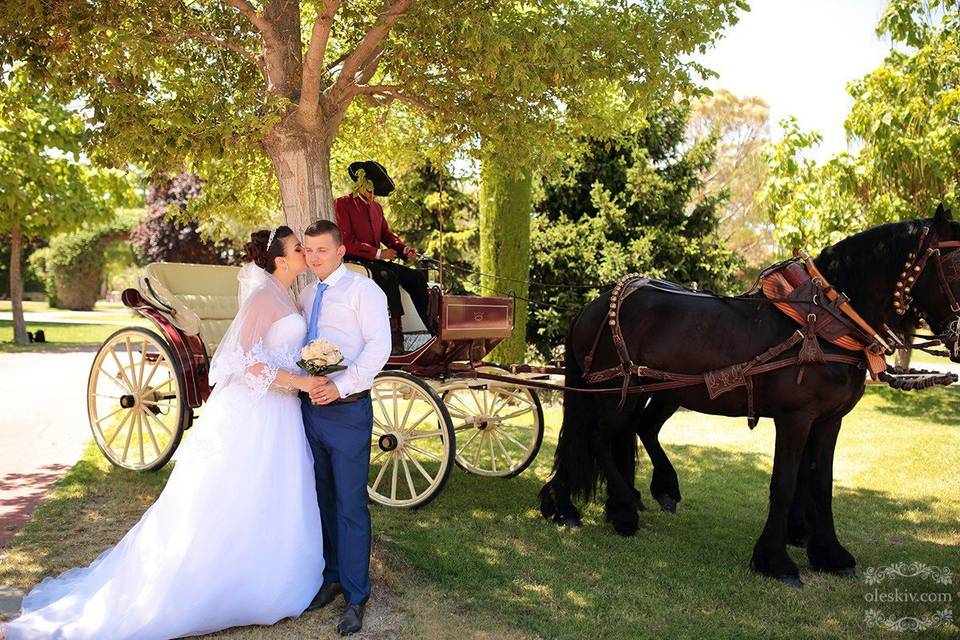 Boda de Diana