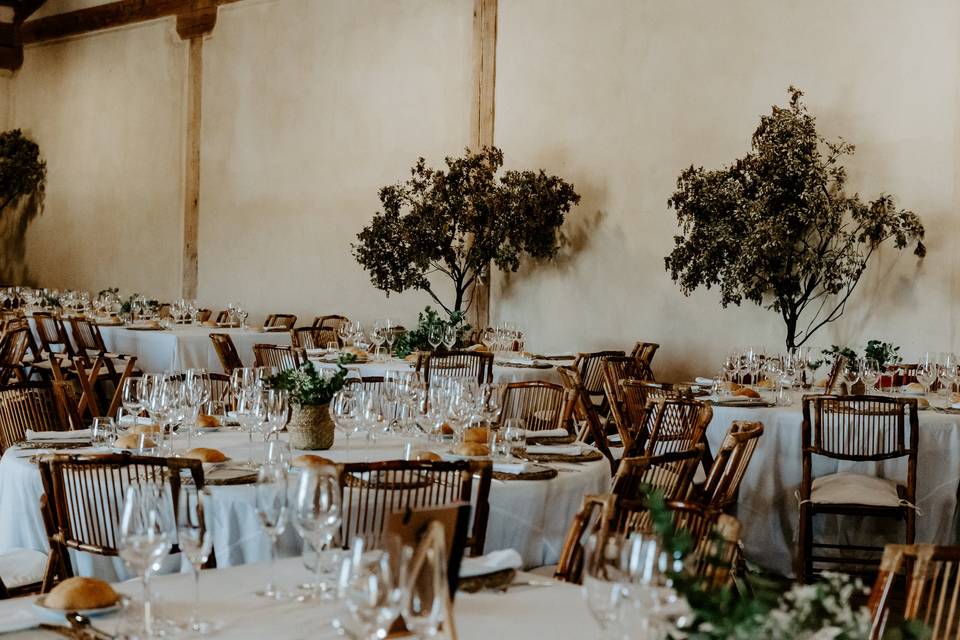 Decoracion