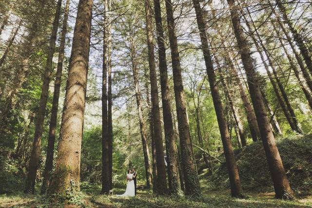 Boda en el bosque