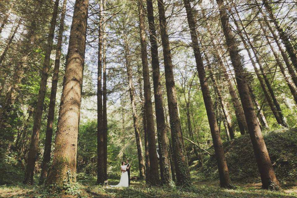 Boda en el bosque