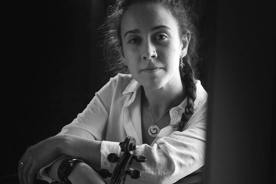 Violinista