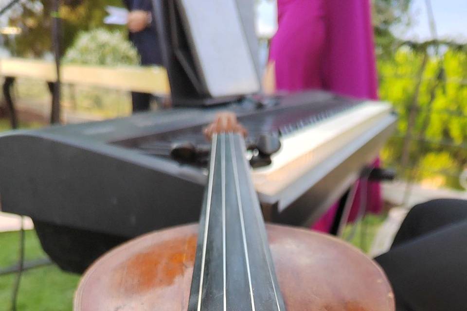 Violín al aire libre