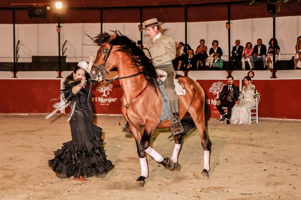 Boda en el Manjar de Talamanca