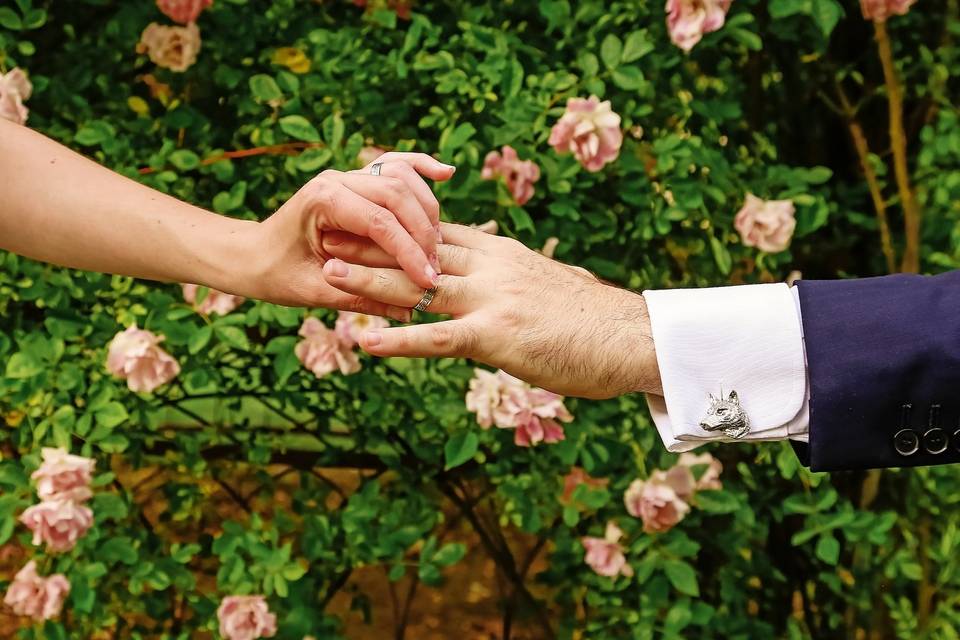 El anillo de boda sobre rosas