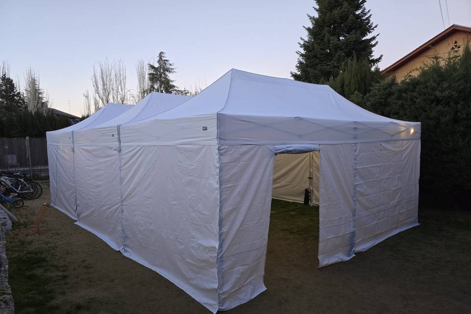 Carpa