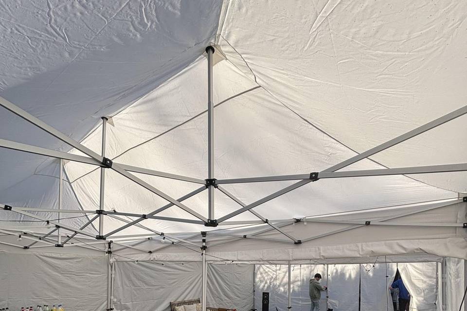 Carpa