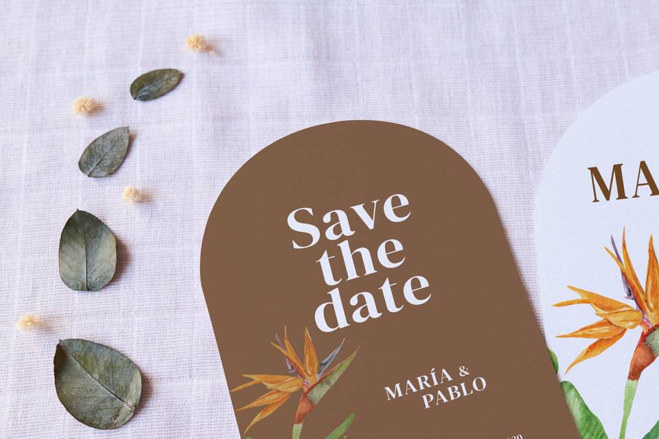 Save the date Ave del paraíso
