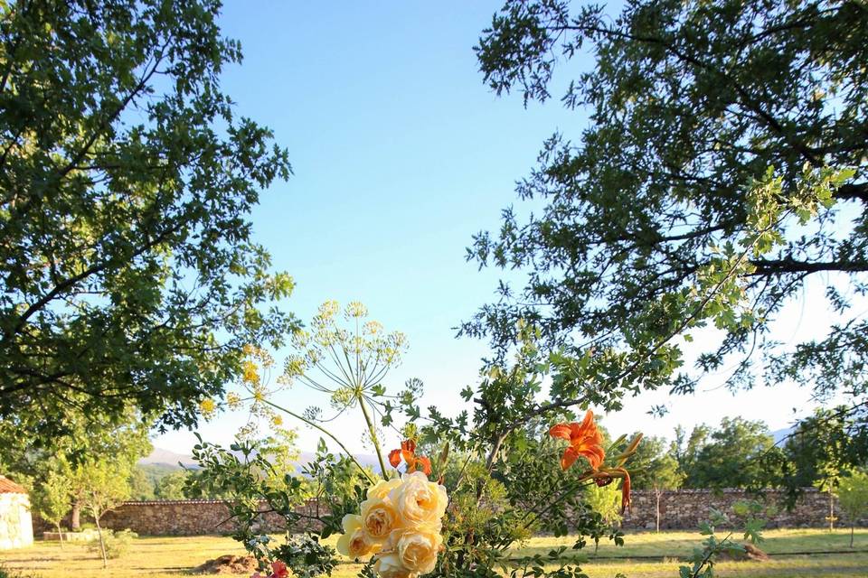 Finca El Robledo