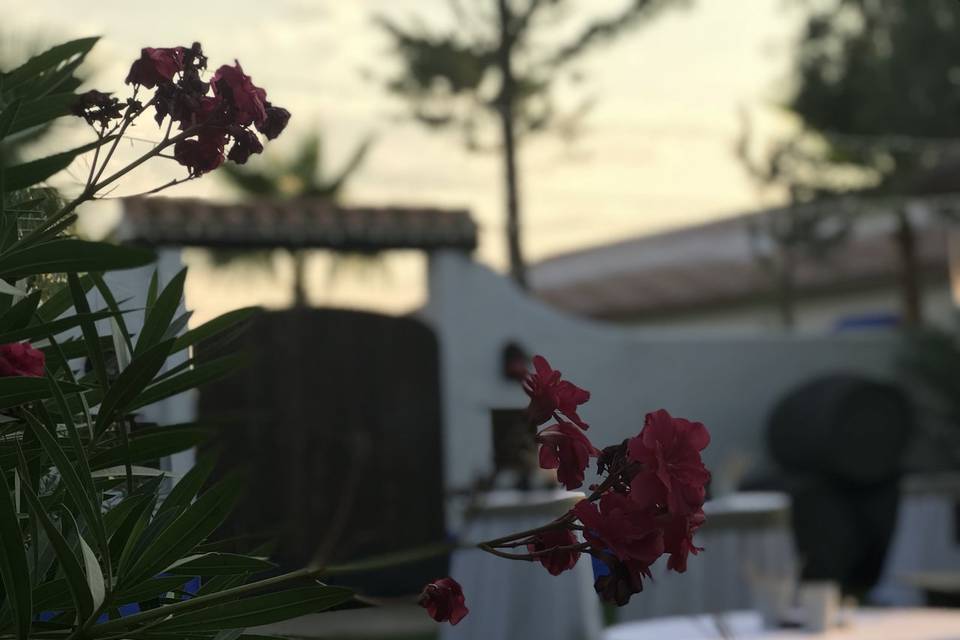 Exteriores