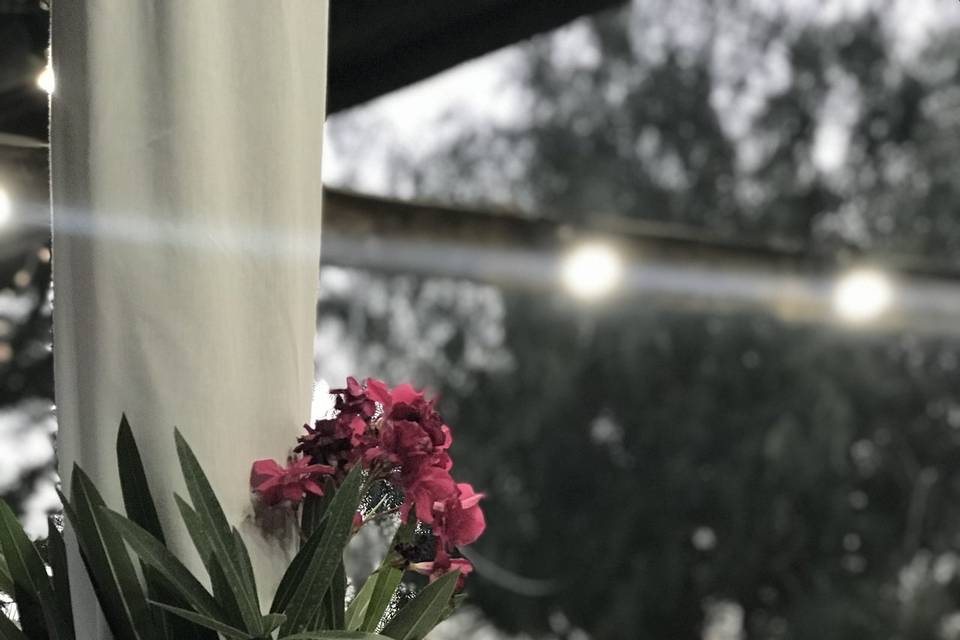 Decoración