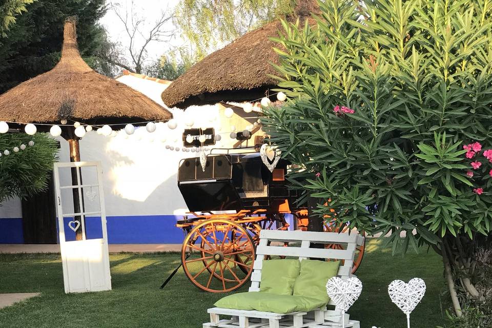 Decoración