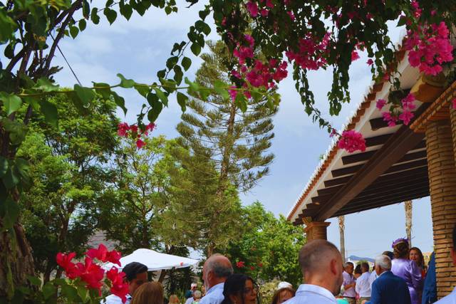 Restaurante Los Caballos