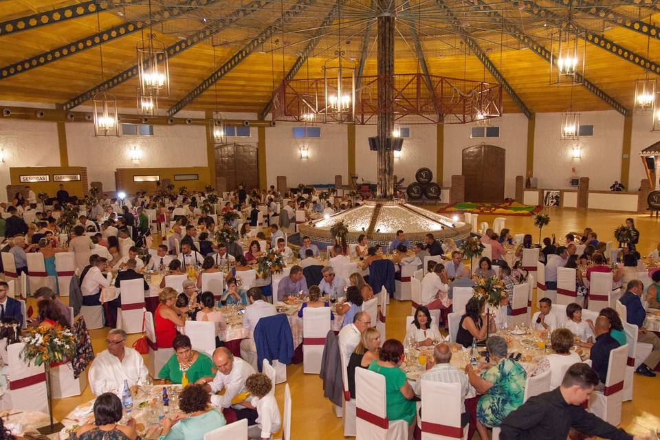 Salón Plaza de toros