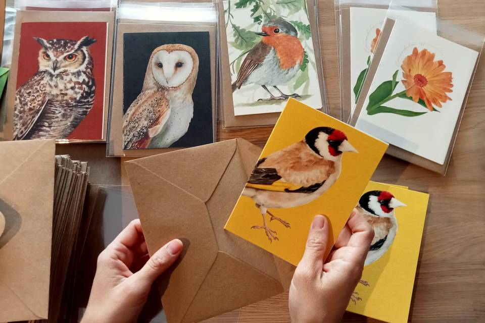 Invitación