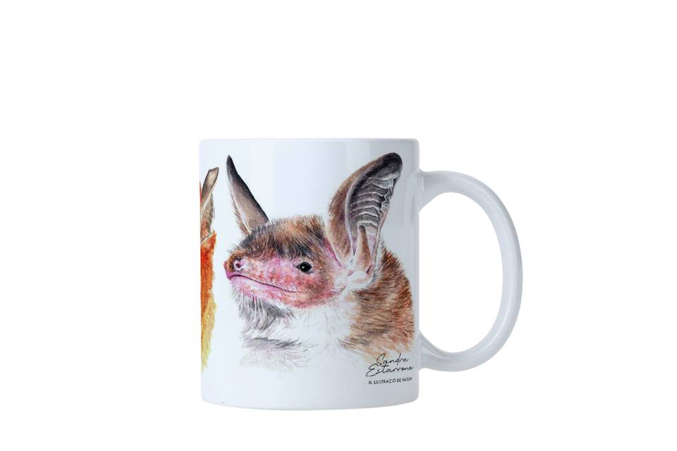 Taza 6