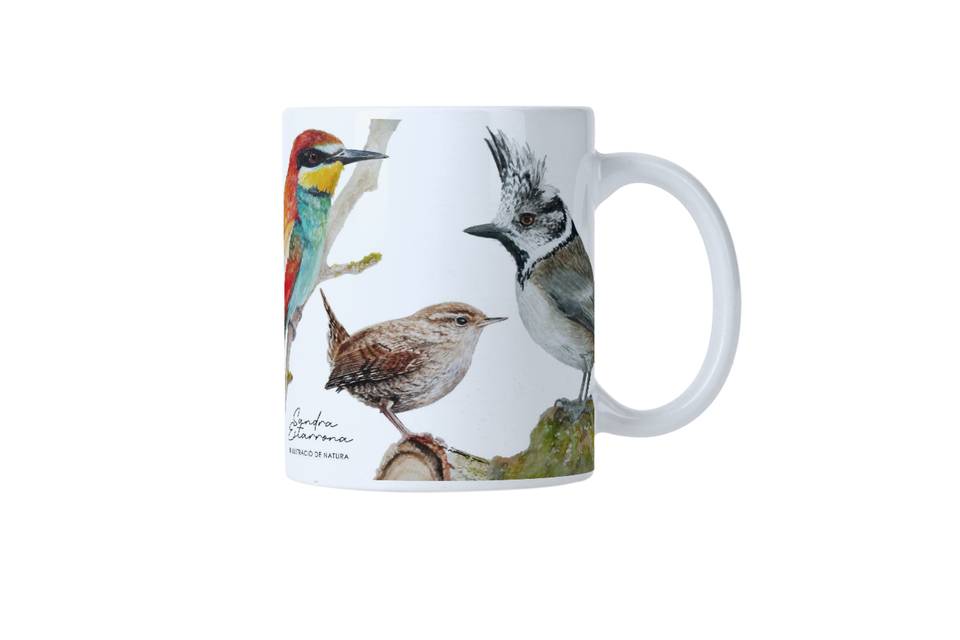 Taza 1