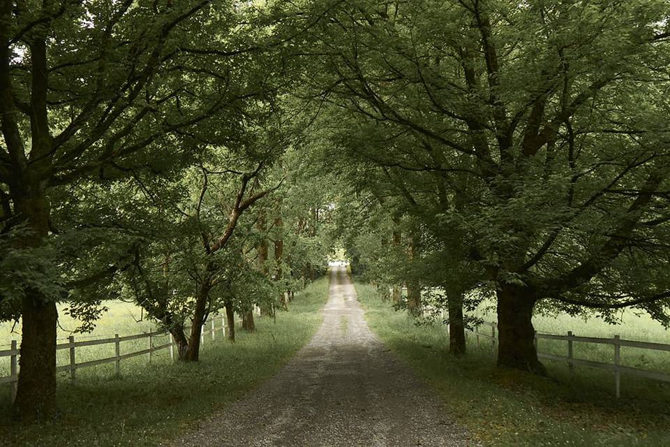 Camino subida Bauskain