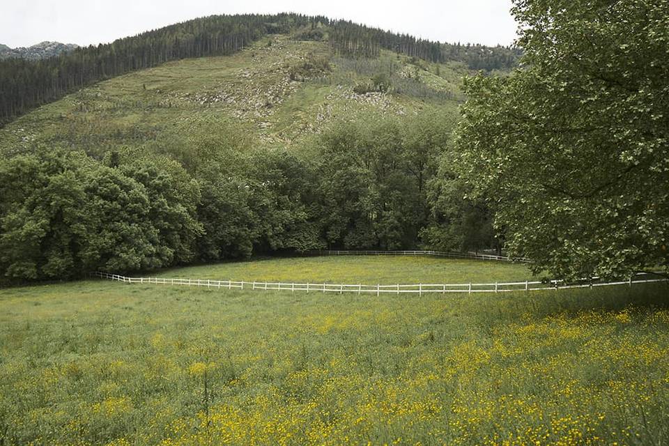 Vista de la valla de la finca