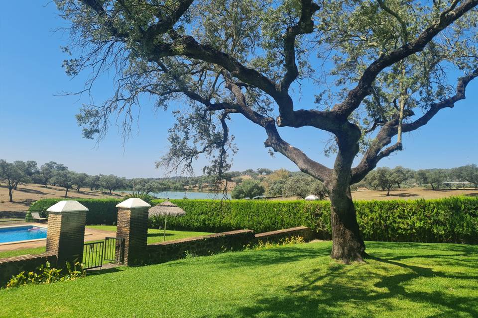 Piscina, lago, jardín