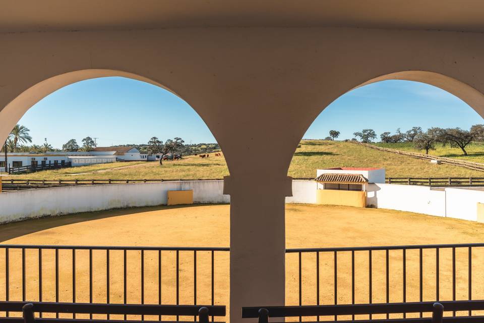 Plaza de toros