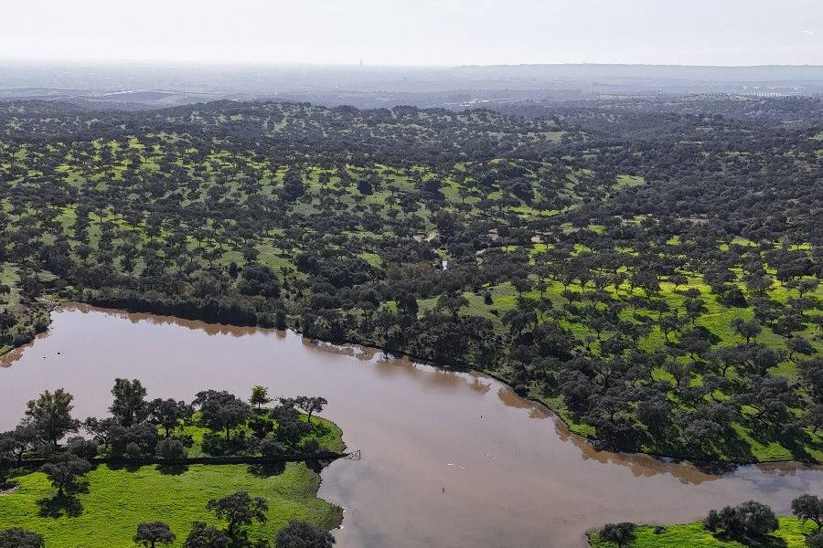 Lago de la hacienda