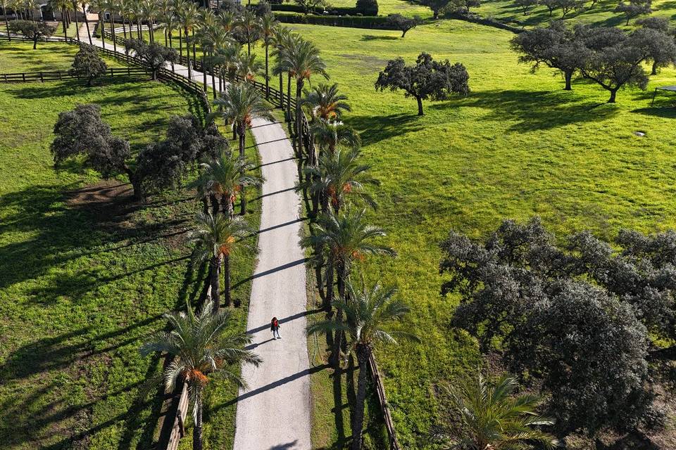 Camino de llegada al caserío