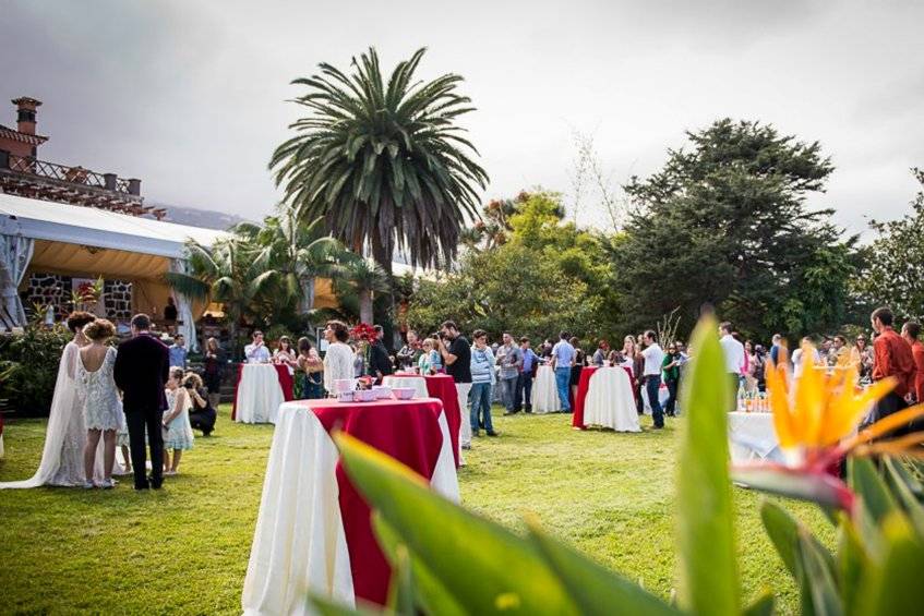 Cóctel en el jardín