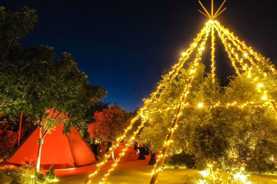 Tipis en el jardín botánico