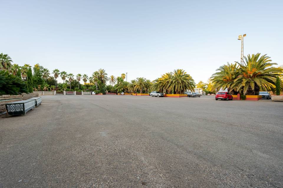 exterior_espacio_abierto_palmeras