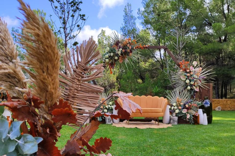 Boda D&R
