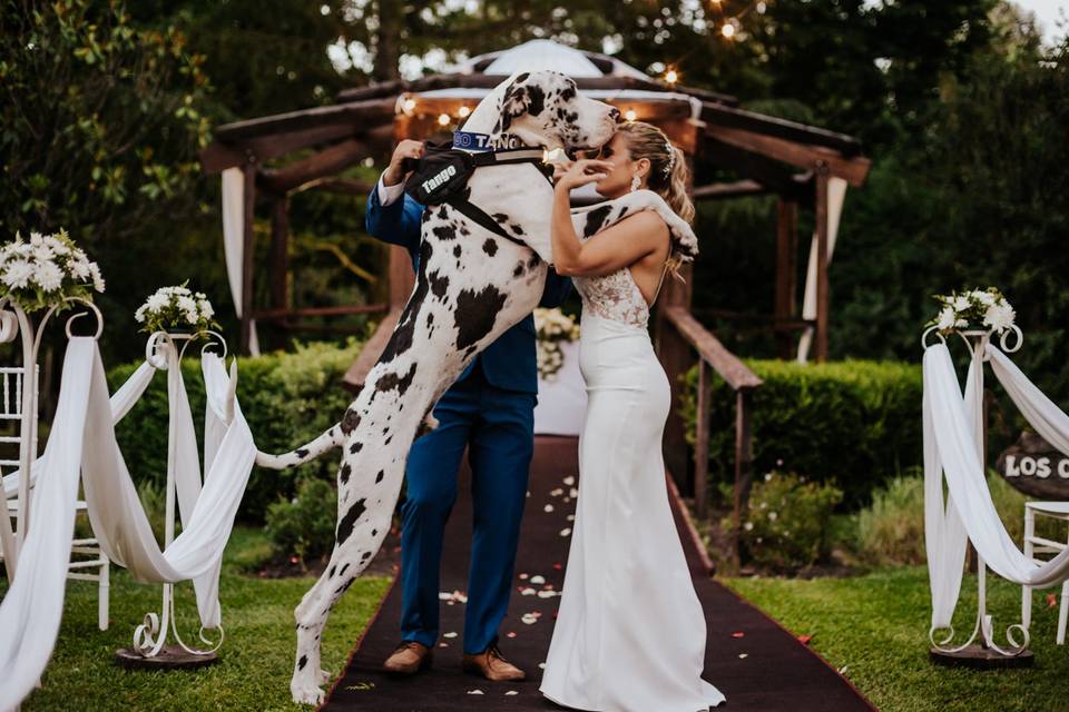 Novia con sus perritos