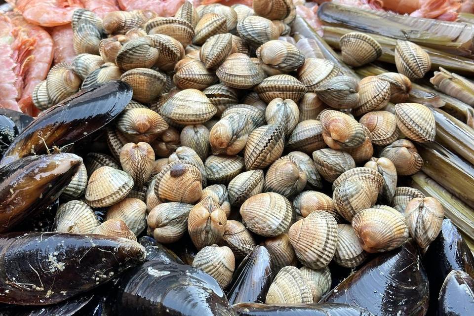 Marisco