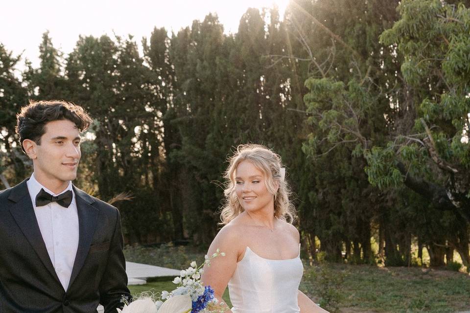 Novios