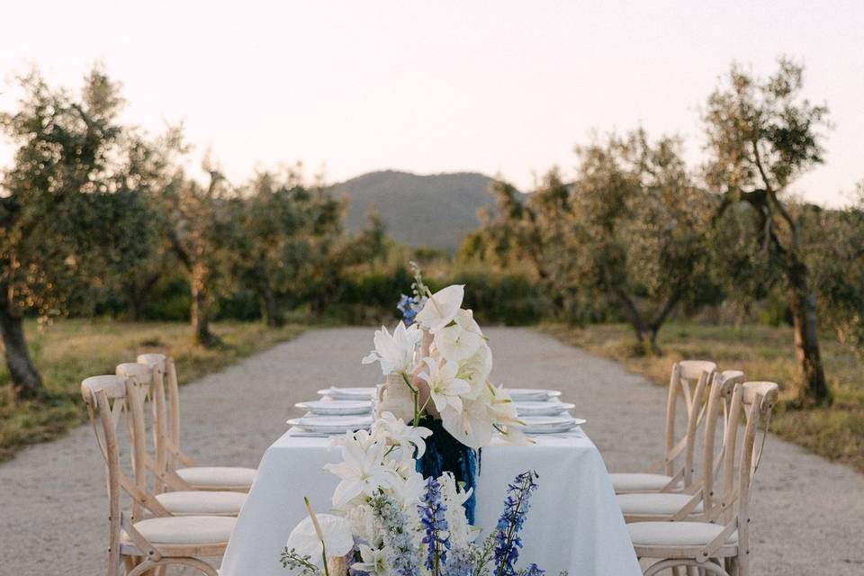 Banquete entre olivos