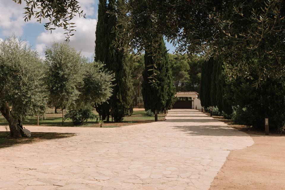 Entrada y zona sauló