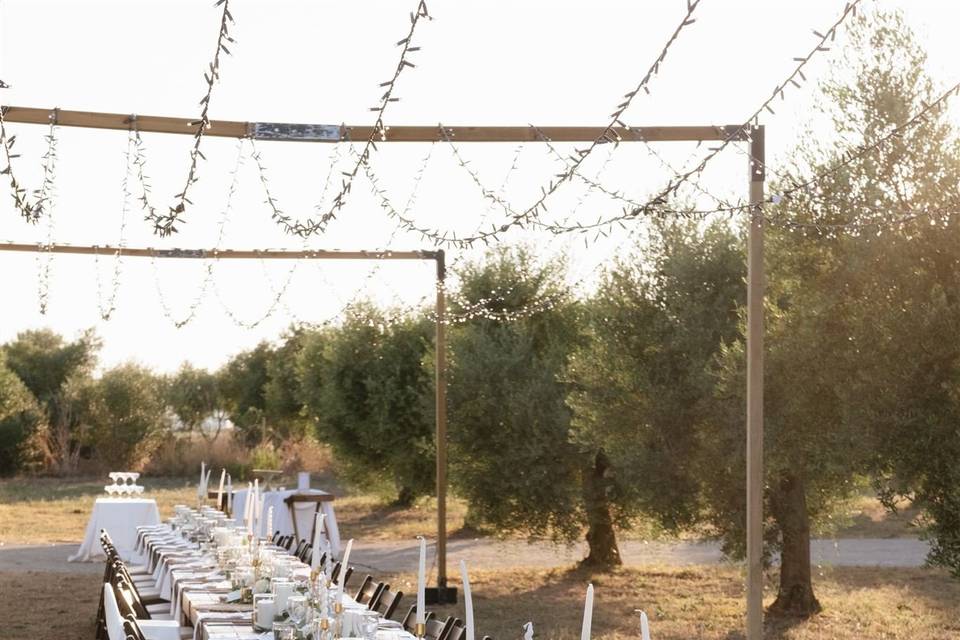 Mesa entre olivos