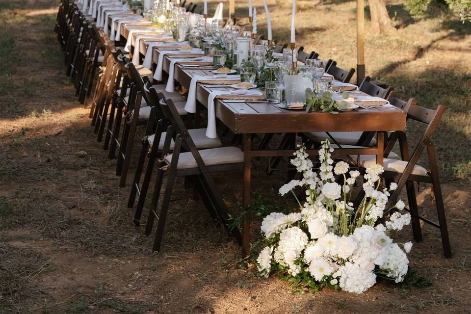 Mesa entre olivos