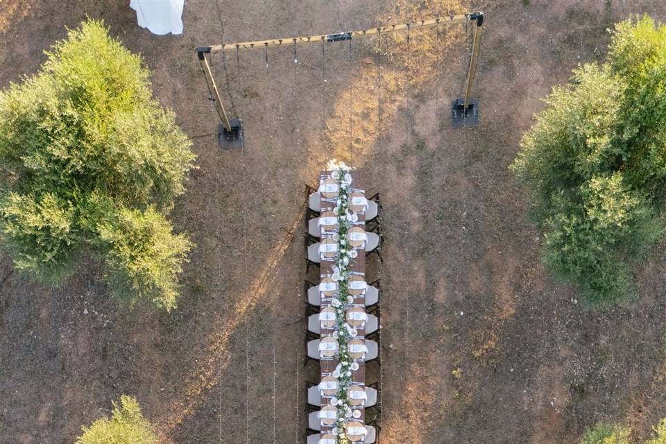 Mesa entre olivos